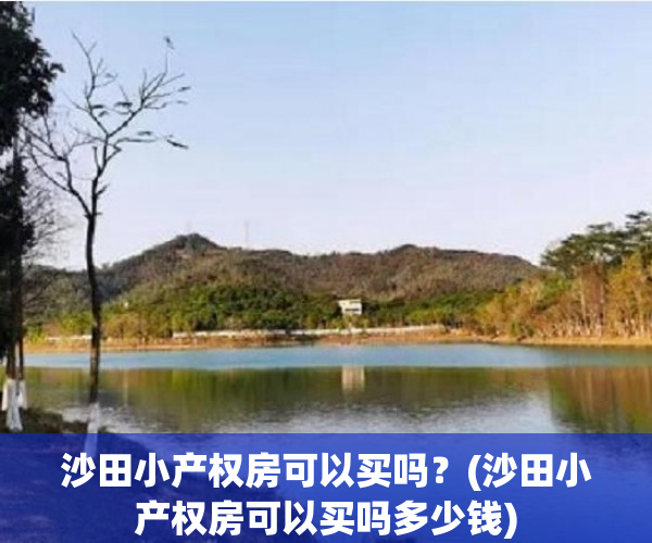 沙田小产权房可以买吗?(沙田小产权房可以买吗多少钱) 沙田小产权房可以买吗?(沙田小产权房可以买吗多少钱)