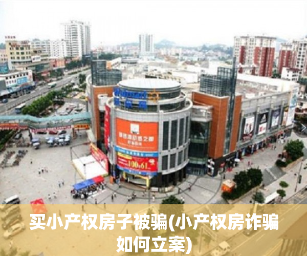 买小产权房子被骗(小产权房诈骗如何立案)