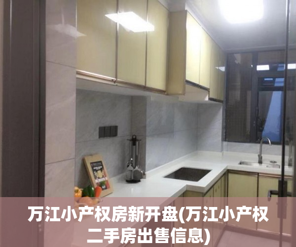 万江小产权房新开盘(万江小产权二手房出售信息)