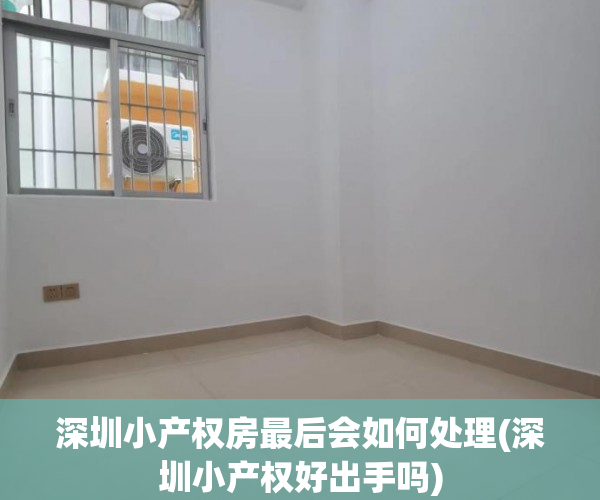 深圳小产权房最后会如何处理(深圳小产权好出手吗)