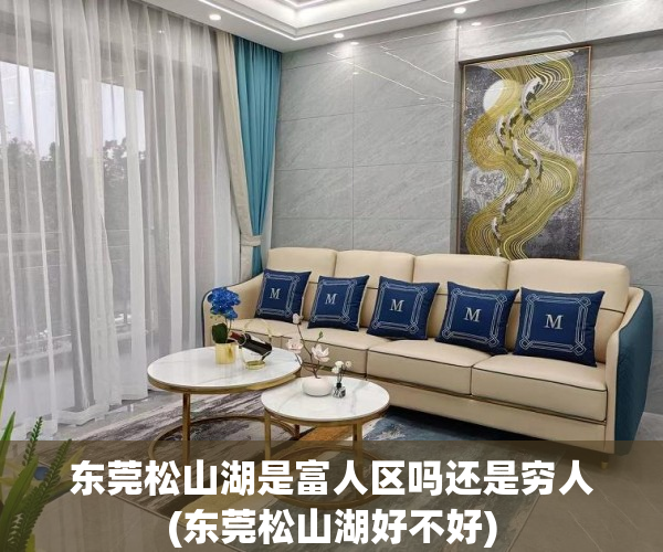 东莞松山湖是富人区吗还是穷人(东莞松山湖好不好)