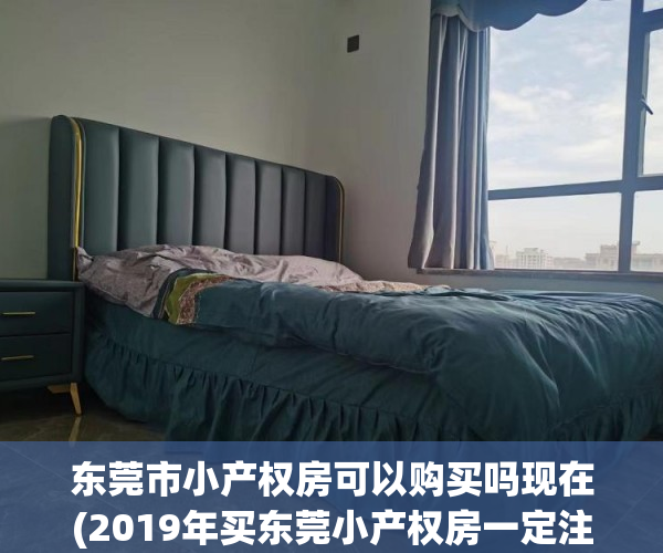 东莞市小产权房可以购买吗现在(2019年买东莞小产权房一定注意这5点)