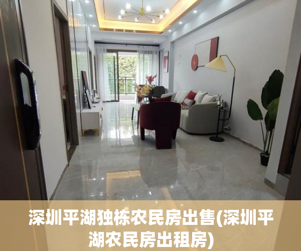 深圳平湖独栋农民房出售(深圳平湖农民房出租房)