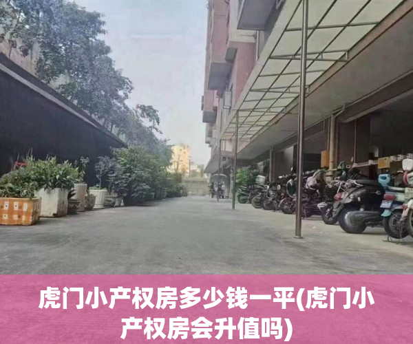 虎门小产权房多少钱一平(虎门小产权房会升值吗)