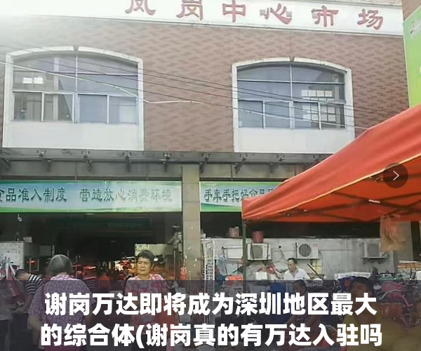 谢岗万达即将成为深圳地区最大的综合体(谢岗真的有万达入驻吗)