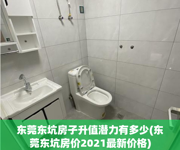 东莞东坑房子升值潜力有多少(东莞东坑房价2021最新价格)