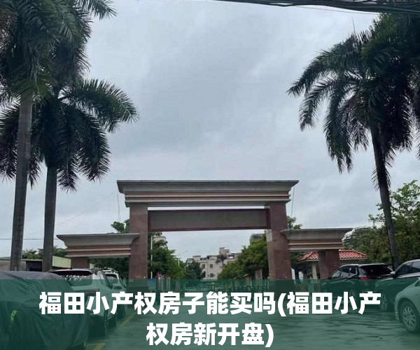 福田小产权房子能买吗(福田小产权房新开盘) 福田小产权房子能买吗(福田小产权房新开盘)