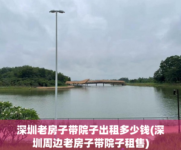 深圳老房子带院子出租多少钱(深圳周边老房子带院子租售)