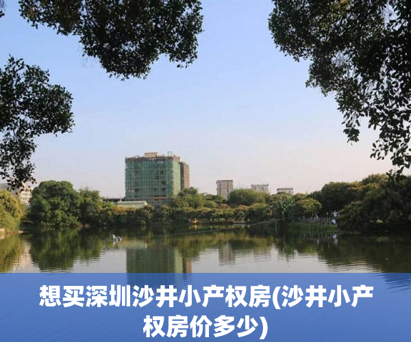 想买深圳沙井小产权房(沙井小产权房价多少) 想买深圳沙井小产权房(沙井小产权房价多少)
