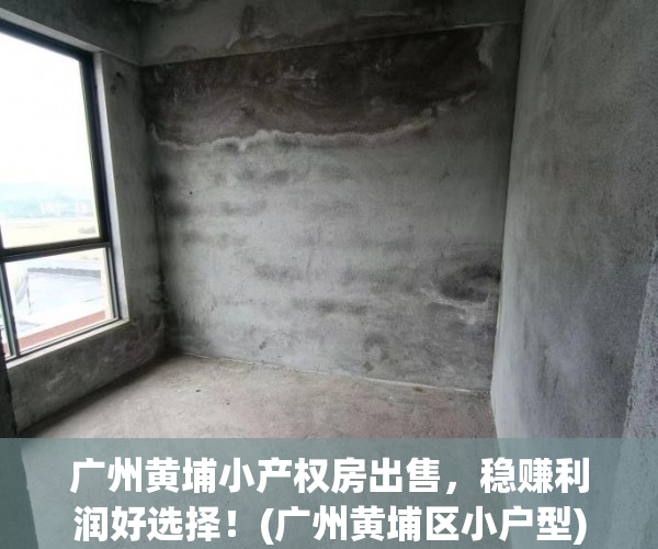 广州黄埔小产权房出售，稳赚利润好选择！(广州黄埔区小户型)