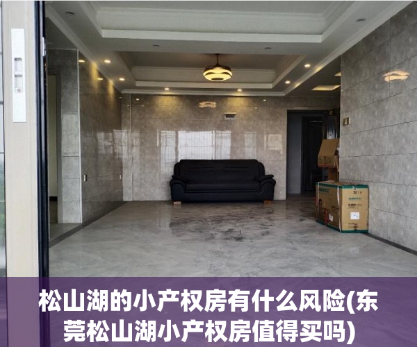 松山湖的小产权房有什么风险(东莞松山湖小产权房值得买吗) 松山湖的小产权房有什么风险(东莞松山湖小产权房值得买吗)