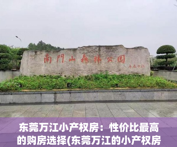东莞万江小产权房：性价比最高的购房选择(东莞万江的小产权房现在怎么样)