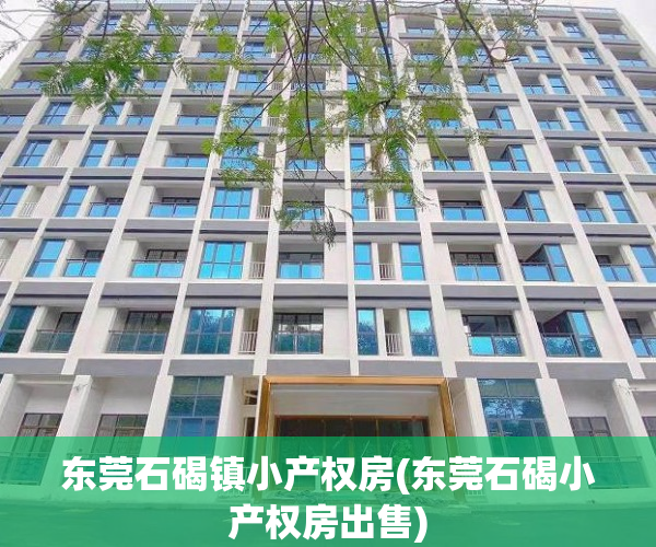 东莞石碣镇小产权房(东莞石碣小产权房出售) 东莞石碣镇小产权房(东莞石碣小产权房出售)