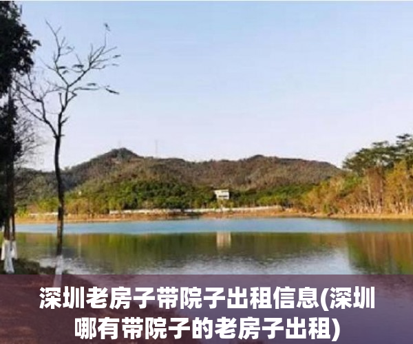 深圳老房子带院子出租信息(深圳哪有带院子的老房子出租)