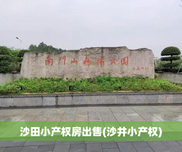 沙田小产权房出售(沙井小产权)