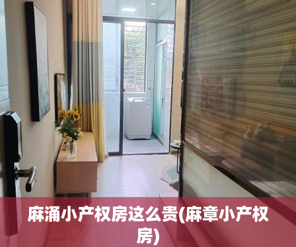 麻涌小产权房这么贵(麻章小产权房) 麻涌小产权房这么贵(麻章小产权房)