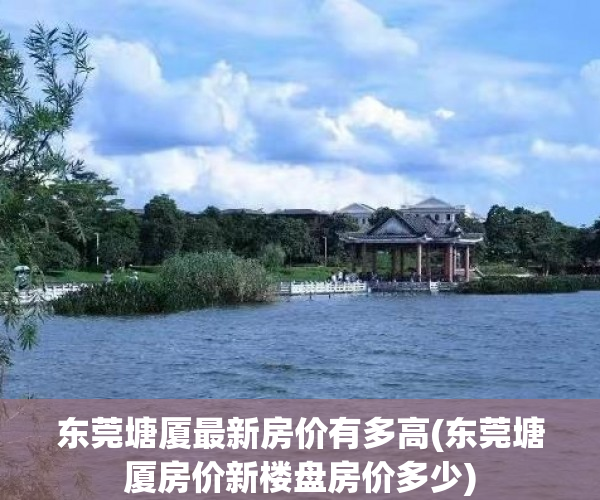 东莞塘厦最新房价有多高(东莞塘厦房价新楼盘房价多少) 东莞塘厦最新房价有多高(东莞塘厦房价新楼盘房价多少)