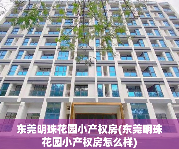 东莞明珠花园小产权房(东莞明珠花园小产权房怎么样) 东莞明珠花园小产权房(东莞明珠花园小产权房怎么样)