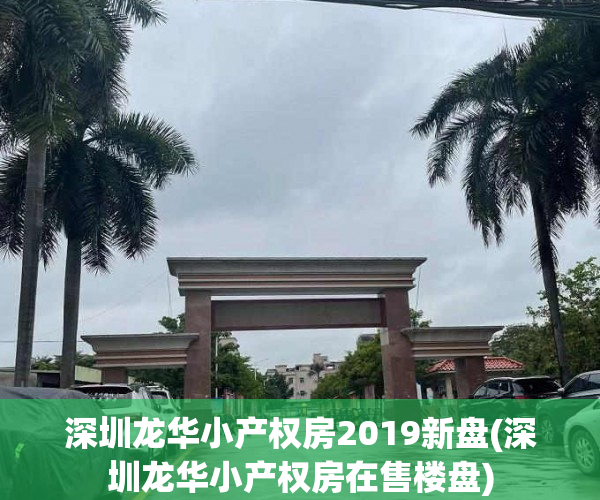 深圳龙华小产权房2019新盘(深圳龙华小产权房在售楼盘)