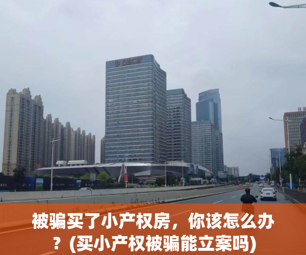 被骗买了小产权房，你该怎么办？(买小产权被骗能立案吗)