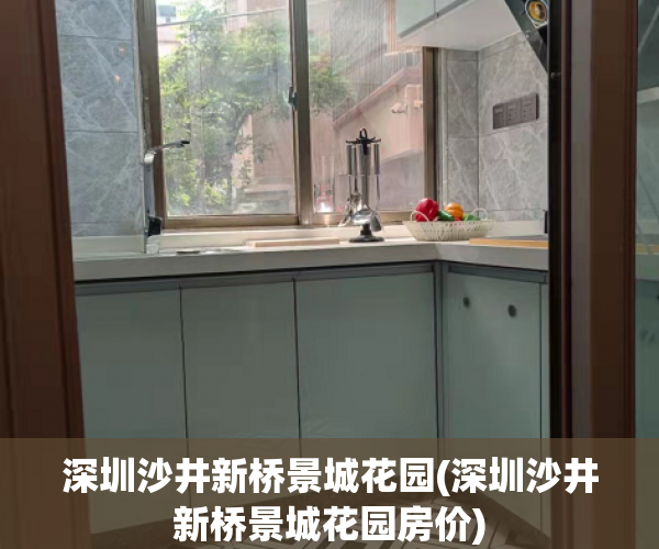 深圳沙井新桥景城花园(深圳沙井新桥景城花园房价)
