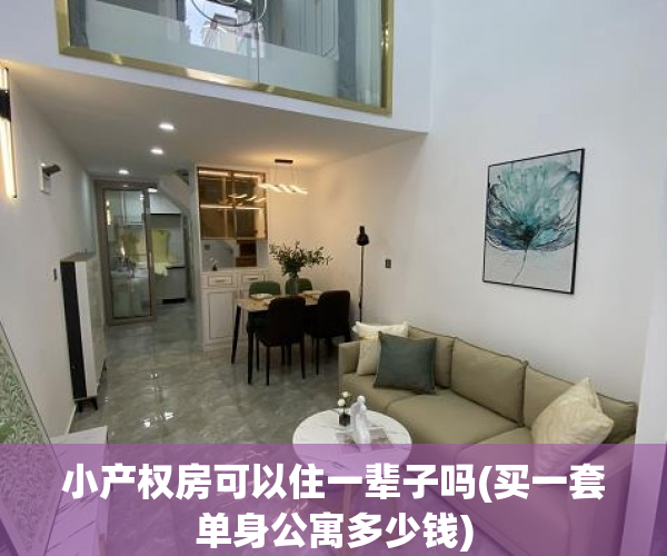 小产权房可以住一辈子吗(买一套单身公寓多少钱) 小产权房可以住一辈子吗(买一套单身公寓多少钱)