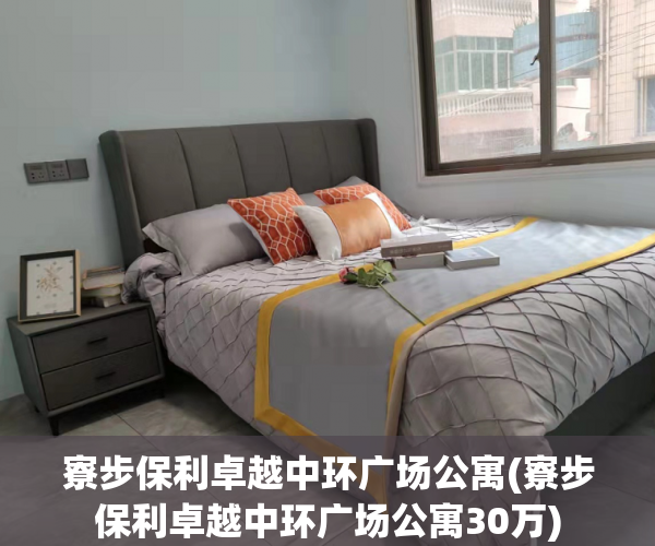 寮步保利卓越中环广场公寓(寮步保利卓越中环广场公寓30万) 寮步保利卓越中环广场公寓(寮步保利卓越中环广场公寓30万)