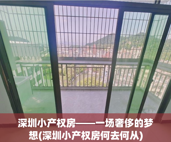 深圳小产权房——一场奢侈的梦想(深圳小产权房何去何从)