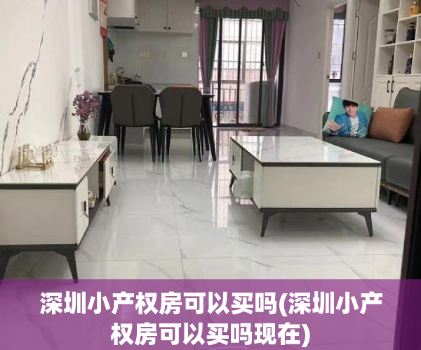 深圳小产权房可以买吗(深圳小产权房可以买吗现在) 深圳小产权房可以买吗(深圳小产权房可以买吗现在)