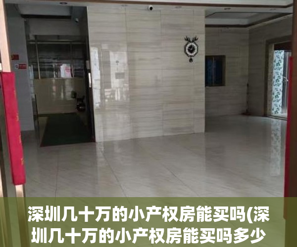深圳几十万的小产权房能买吗(深圳几十万的小产权房能买吗多少钱) 深圳几十万的小产权房能买吗(深圳几十万的小产权房能买吗多少钱)