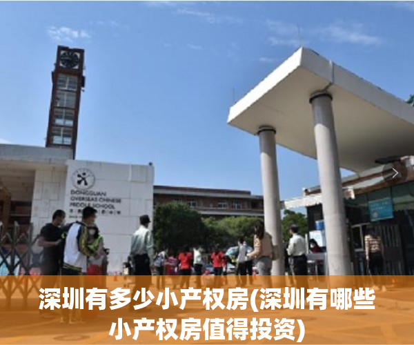 深圳有多少小产权房(深圳有哪些小产权房值得投资)