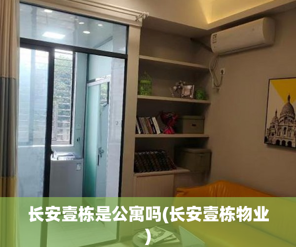 长安壹栋是公寓吗(长安壹栋物业)