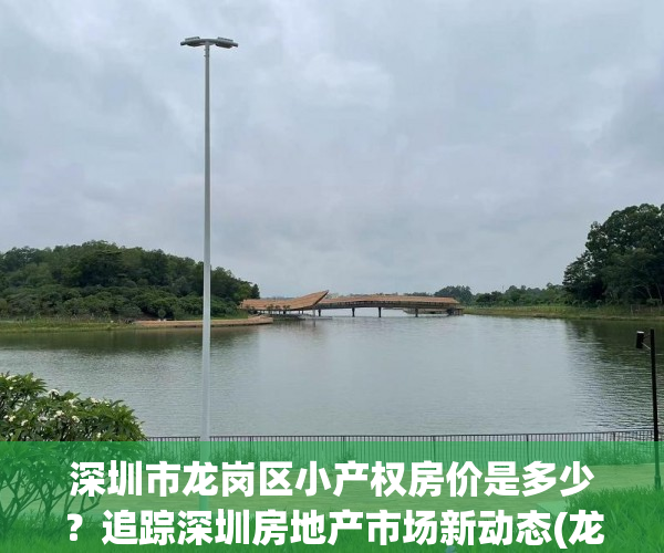 深圳市龙岗区小产权房价是多少？追踪深圳房地产市场新动态(龙岗小产权房新楼盘)