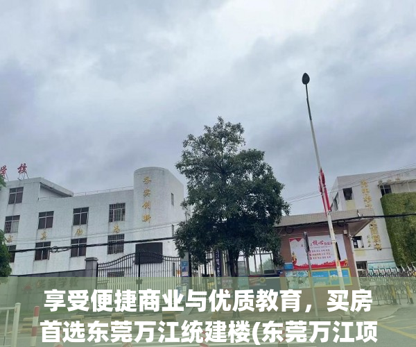 享受便捷商业与优质教育，买房首选东莞万江统建楼(东莞万江项目)