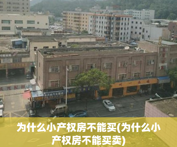 为什么小产权房不能买(为什么小产权房不能买卖) 为什么小产权房不能买(为什么小产权房不能买卖)