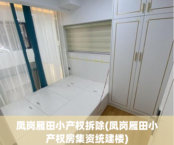 凤岗雁田小产权拆除(凤岗雁田小产权房集资统建楼)