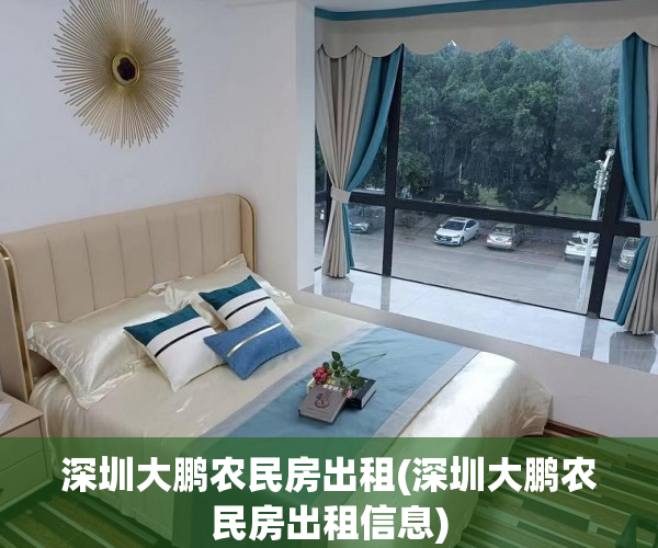 深圳大鹏农民房出租(深圳大鹏农民房出租信息)