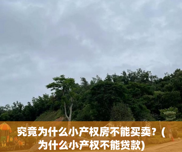究竟为什么小产权房不能买卖？(为什么小产权不能贷款)