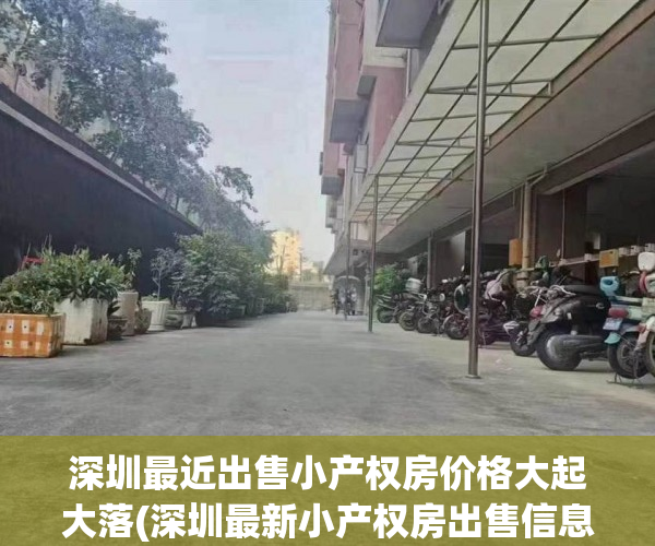 深圳最近出售小产权房价格大起大落(深圳最新小产权房出售信息第2页)