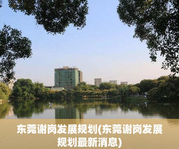 东莞谢岗发展规划(东莞谢岗发展规划最新消息) 东莞谢岗发展规划(东莞谢岗发展规划最新消息)