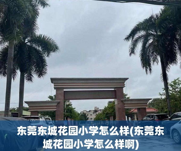 东莞东城花园小学怎么样(东莞东城花园小学怎么样啊) 东莞东城花园小学怎么样(东莞东城花园小学怎么样啊)