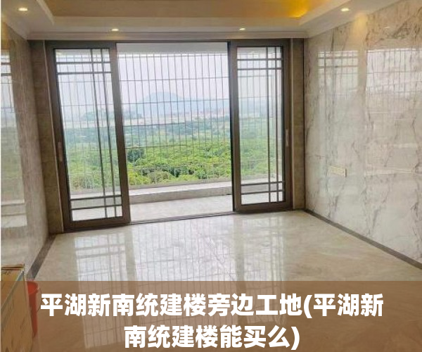 平湖新南统建楼旁边工地(平湖新南统建楼能买么)