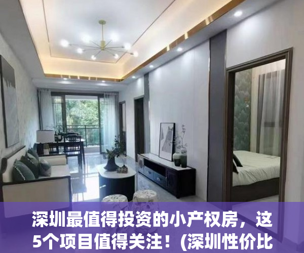 深圳最值得投资的小产权房，这5个项目值得关注！(深圳性价比高的小产权房小区)