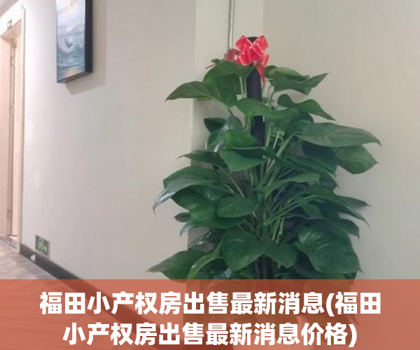 福田小产权房出售最新消息(福田小产权房出售最新消息价格) 福田小产权房出售最新消息(福田小产权房出售最新消息价格)
