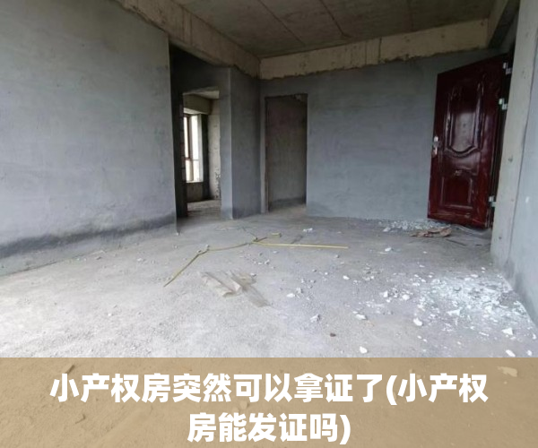 小产权房突然可以拿证了(小产权房能发证吗)