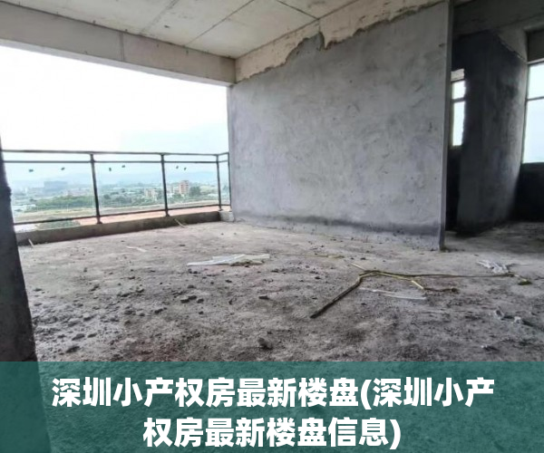 深圳小产权房最新楼盘(深圳小产权房最新楼盘信息) 深圳小产权房最新楼盘(深圳小产权房最新楼盘信息)