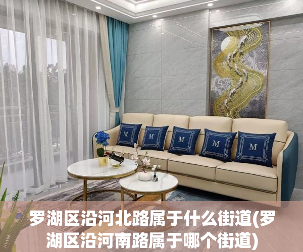 罗湖区沿河北路属于什么街道(罗湖区沿河南路属于哪个街道)