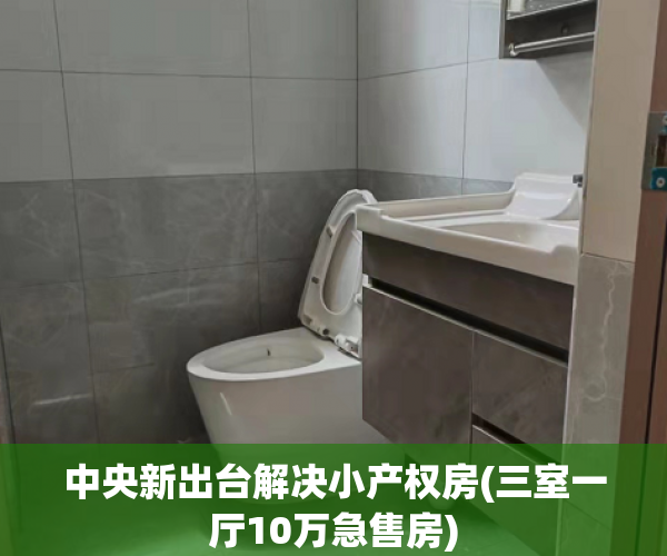 中央新出台解决小产权房(三室一厅10万急售房)