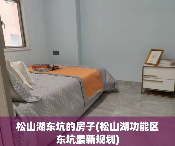 松山湖东坑的房子(松山湖功能区东坑最新规划) 松山湖东坑的房子(松山湖功能区东坑最新规划)