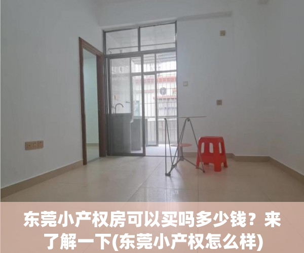 东莞小产权房可以买吗多少钱？来了解一下(东莞小产权怎么样)
